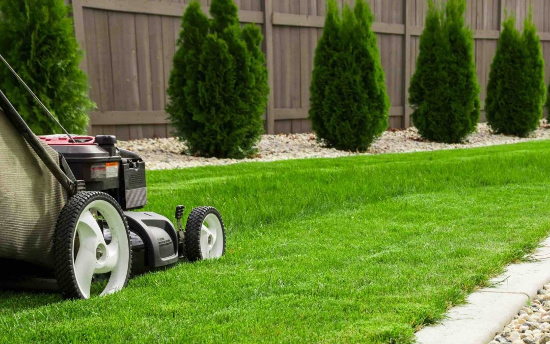 Mantenimiento en Jardinería: Consejos para un jardín floreciente durante todo el año.