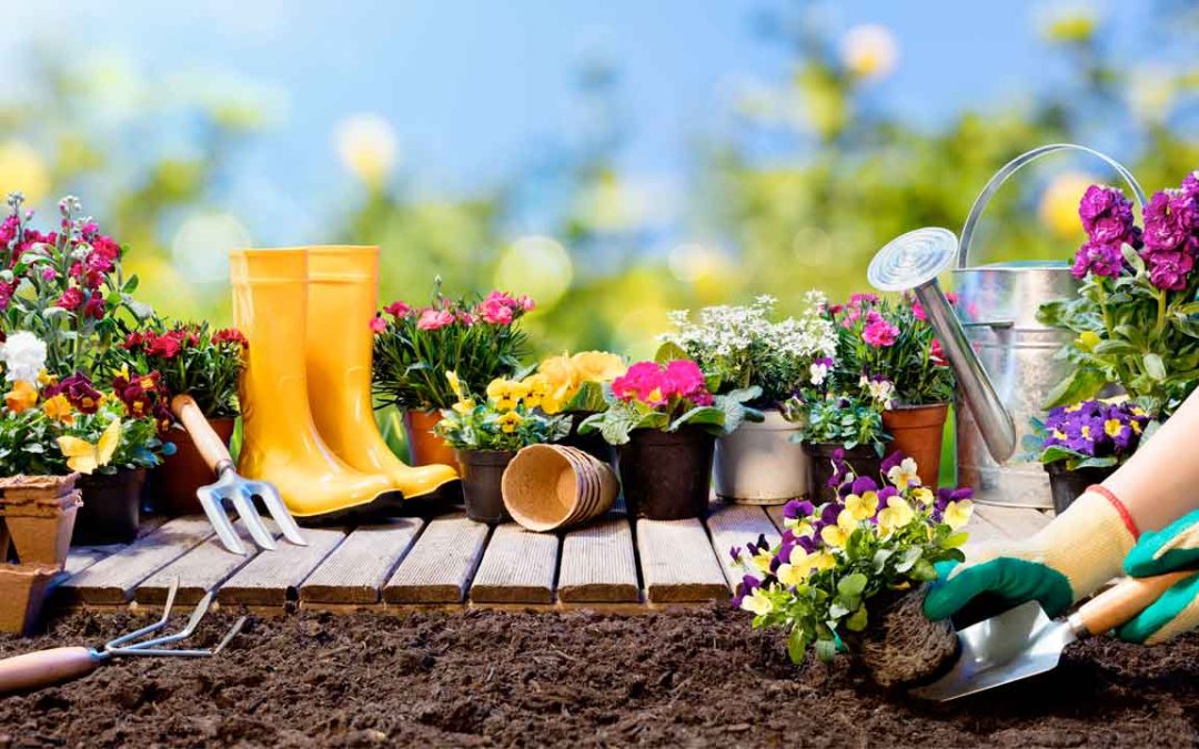 Consejos de jardinería que pueden ayudarte a mantener un jardín saludable y vibrante: