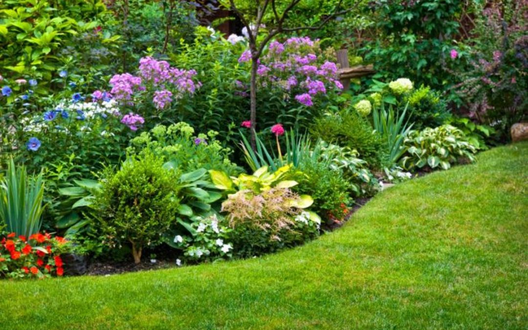 CONSEJOS DE JARDINERÍA PARA PRINCIPIANTES