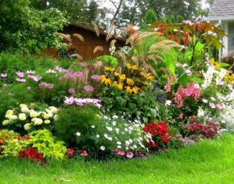 Flores de Temporada: Cómo Elegir las Mejores Plantas para Cada Estación